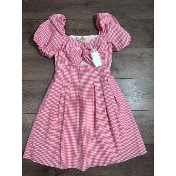 Flora Bea NYC Gionna Pink Gingham Dress nwt small - Picture 2 of 13